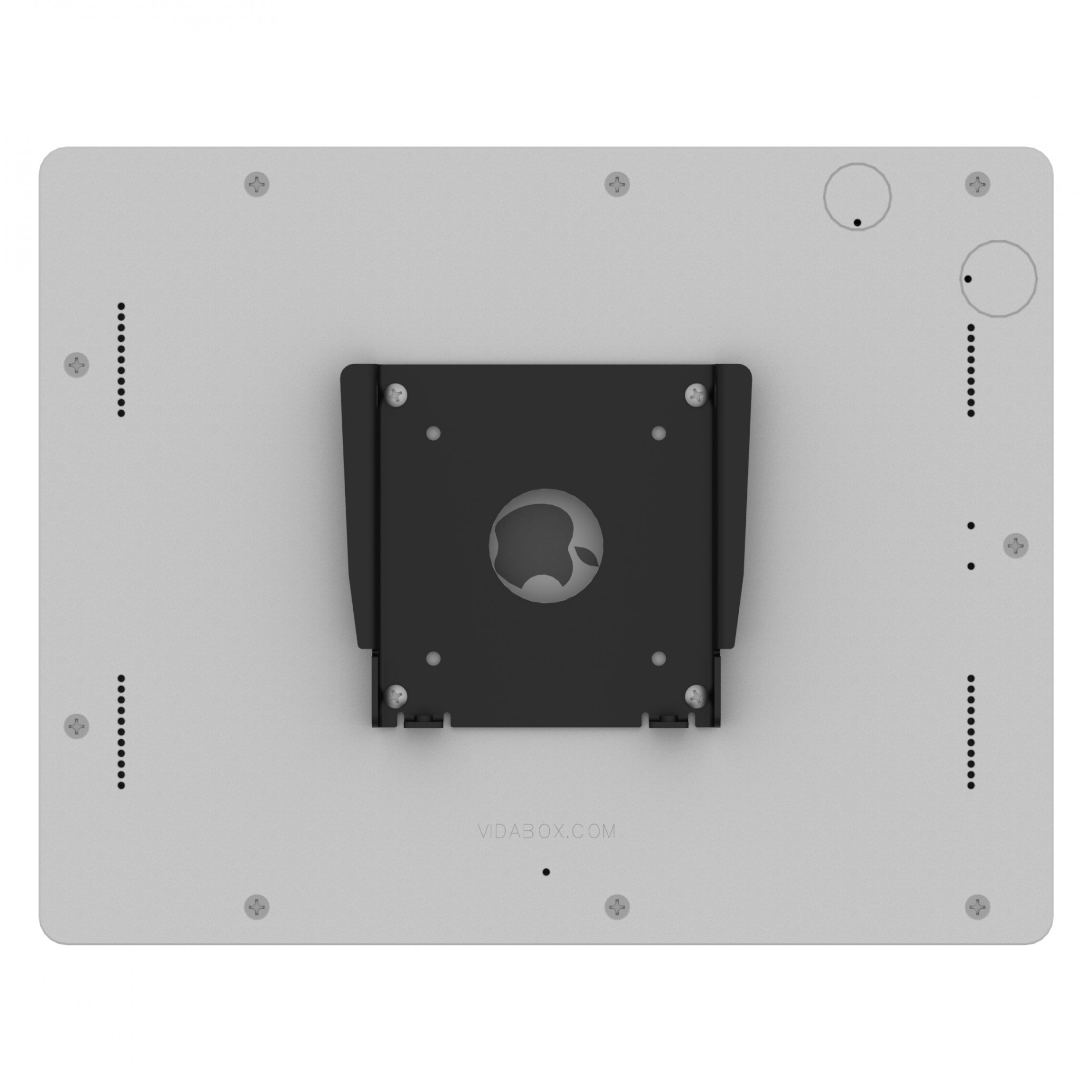 VidaMount Removable Fixed Glass Mount 12.9inch iPad Pro 3rd, 4th, 5th