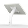 Fixed Desk/Wall Surface Mount - Samsung Galaxy Tab E 9.6 - White [Back Isometric View]