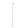 Fixed VESA Floor Stand - White [Full Back Iso View]