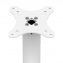 Fixed VESA Floor Stand - White [Full Side View]