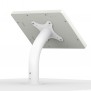 Fixed Desk/Wall Surface Mount - Samsung Galaxy Tab A 9.7 - White [Back Isometric View]