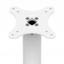 Fixed VESA Floor Stand - White [Full Side View]