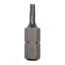 Matching Bit for OpenVESA Security Screws