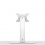 Portable Fixed VESA Surface Display - White