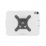 Tilting VESA Wall Mount - Generic Tablet - White [Back]