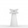 Fixed Surface Lite VESA Mount - White