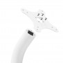 Fixed VESA Floor Stand - White [Assembly Head View]